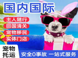 吴圩空运代理国际宠物托运 【国